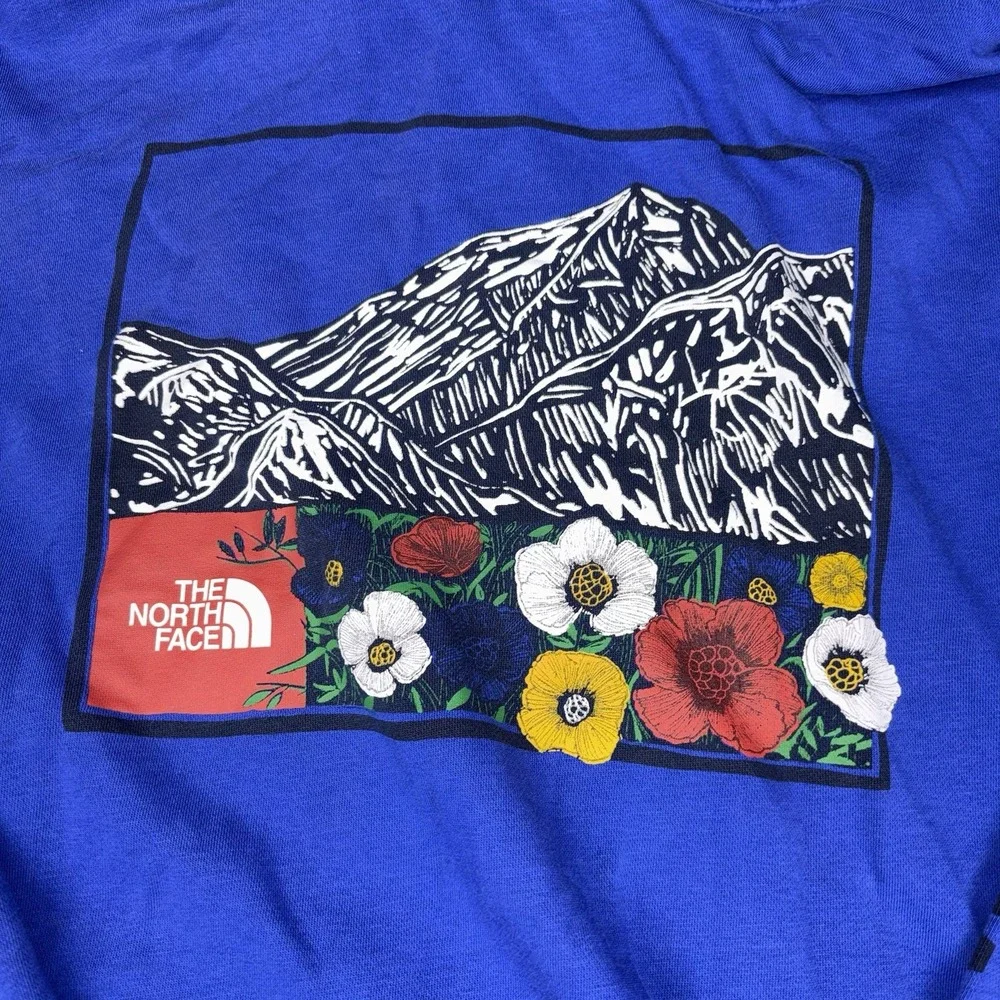 The North Face north face